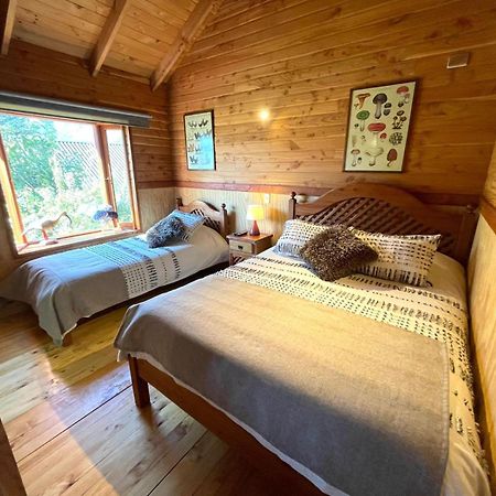 Hostal Pucon Sur Екстериор снимка
