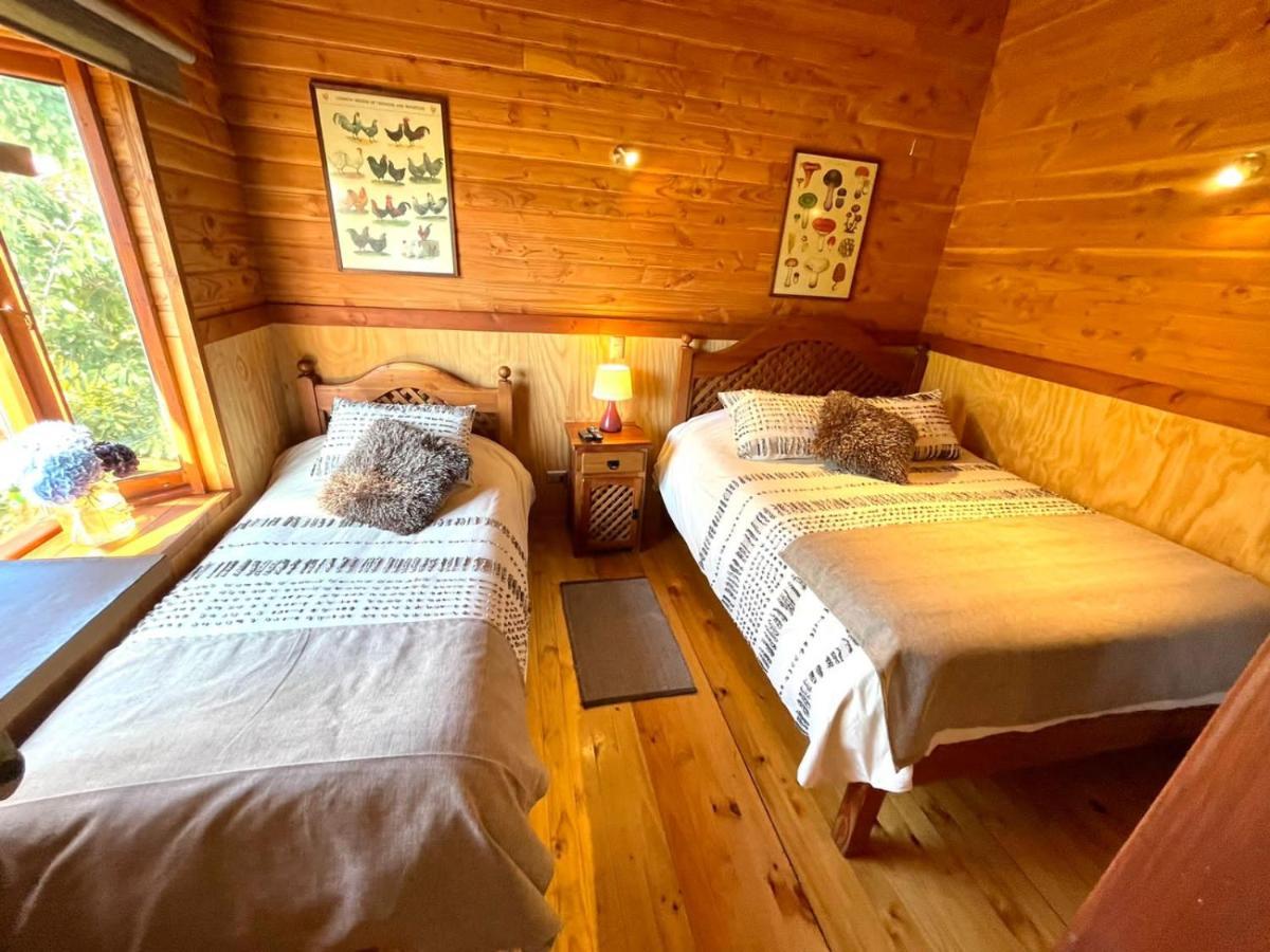 Hostal Pucon Sur Екстериор снимка