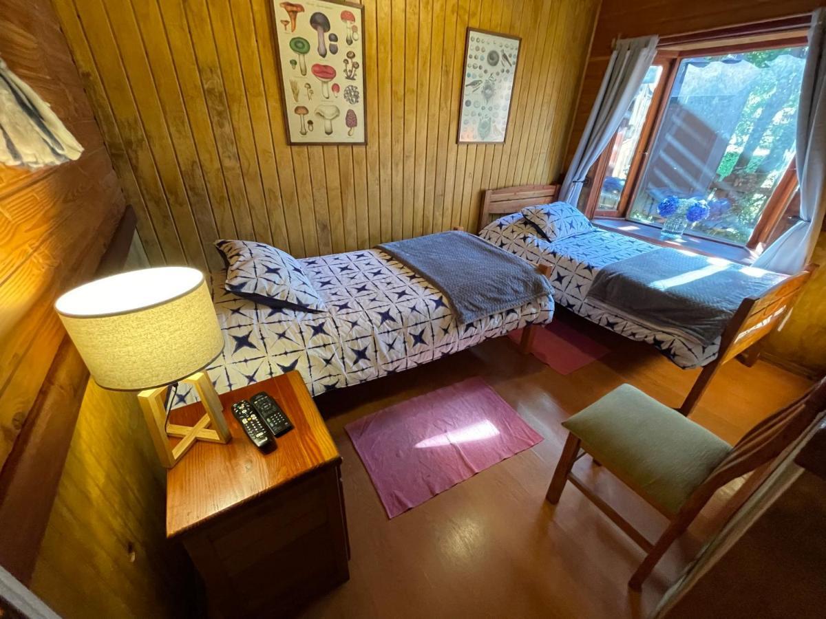 Hostal Pucon Sur Екстериор снимка